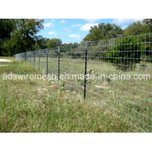 Farm Fence/Filed Fence/Fixed Knot Fence